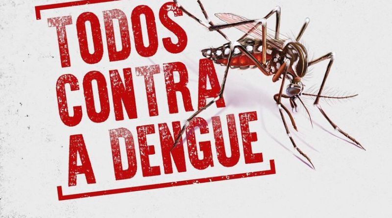 Dengue: Brasil tem quase 11 mortes por dia em 2024