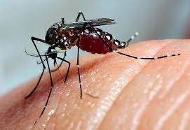Com quase 20 mil contaminados de dengue, prefeitura fecha unidades de atendimento (sentinelas) a doença