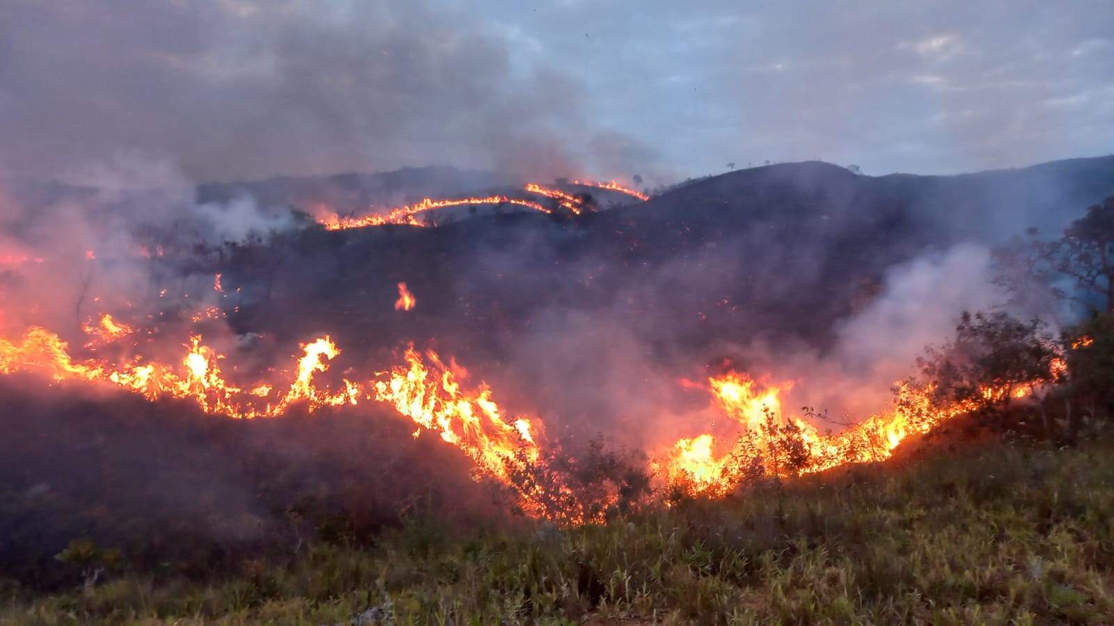SOCORRO! Bombeiros combatem incêndio de grandes proporções e consome 120 hectares de fazenda