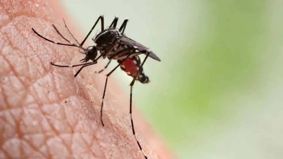 Dengue: Minas Gerais confirma 7.083 novos casos