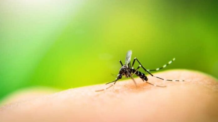Idoso de 72 anos não resiste internado em UTI e falece de dengue