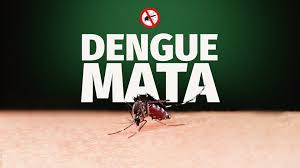 Doze lafaietenses já perderam a vida para o mosquito da dengue