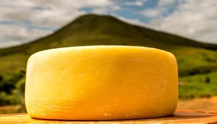 Minas no Agro: Minas Gerais brilha com os melhores azeites e queijos do país