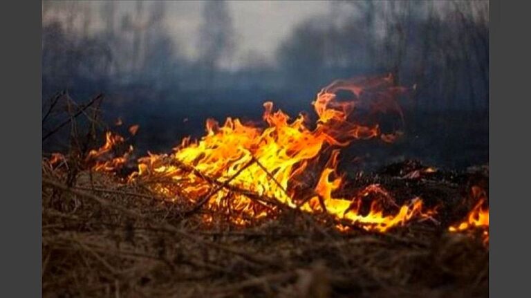 MG: homem morre carbonizado ao colocar fogo em terreno aos fundos de sua casa
